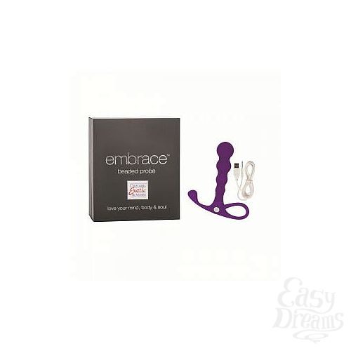  2     Embrace Beaded Probe