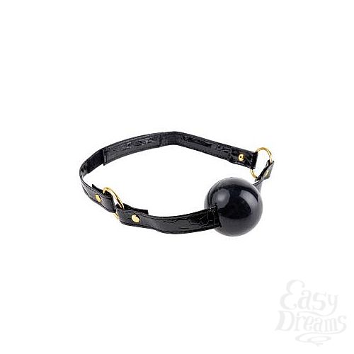  1:   Ball Gag