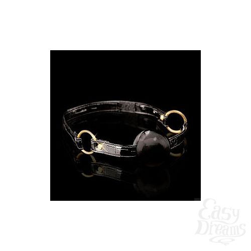  3   Ball Gag