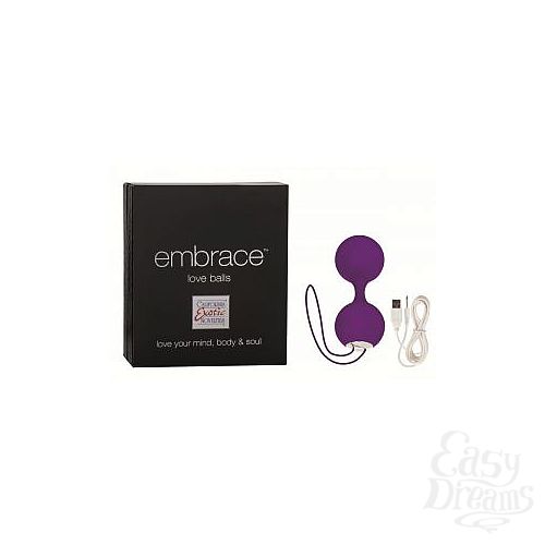  2     Embrace  