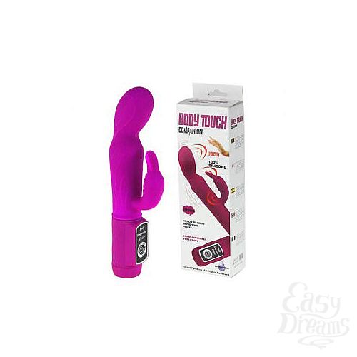  1:       Body Touch Companion - 24 .
