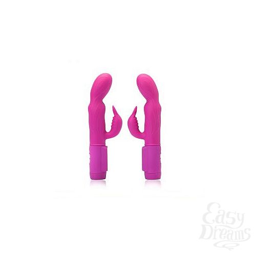 4       Body Touch Companion - 24 .