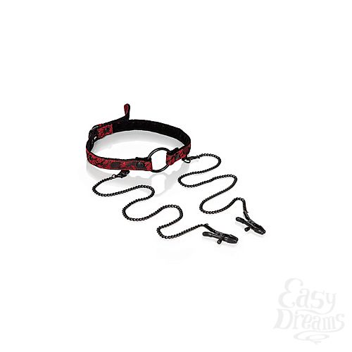  2  - Scandal Open Mouth Gag with Clamps       