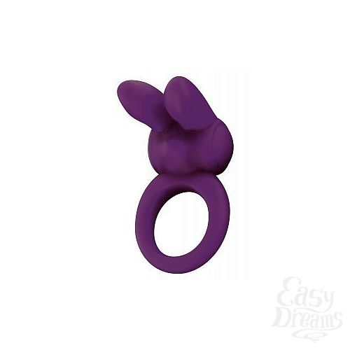  1:     EOS THE RABBIT C-RING 