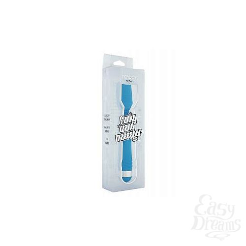  2    FUNKY WAND MASSAGER - 20 .
