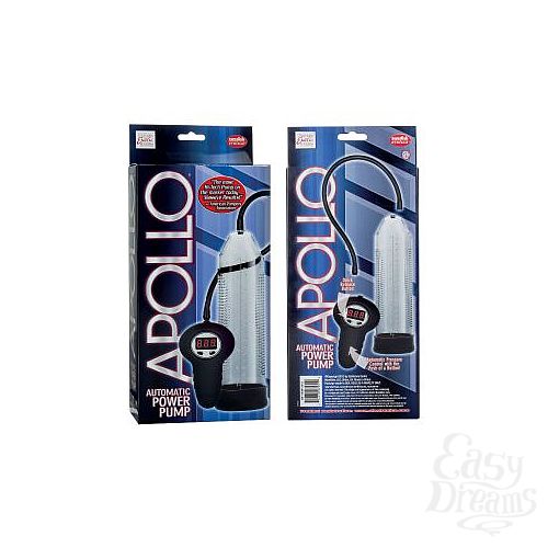  2     Apollo
