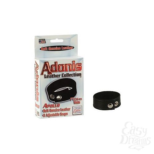  2   Apollo Adonis Leather Collection