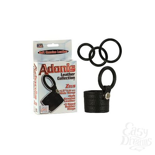  2   Zeus Adonis Leather Collection