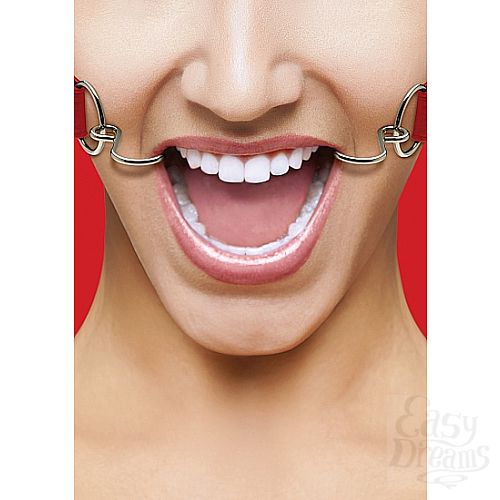  1:   OUCH! Hook Red SH-OU106RED