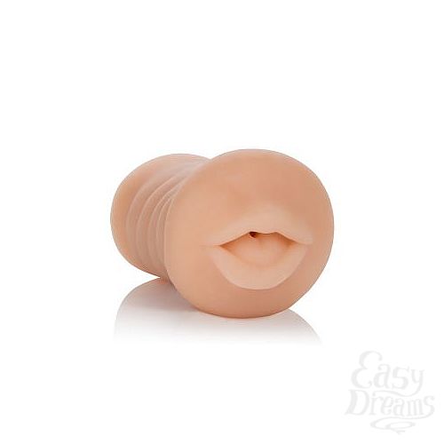  2  - Vivid Raw Hot Ass Mouth 