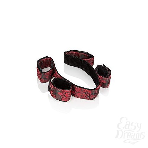  4   Scandal Bondage Bar 