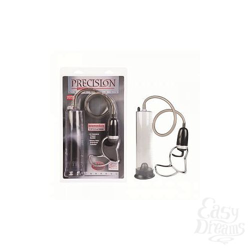  2    Precision Pump Intermediate 