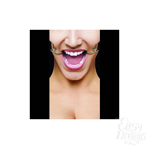  1:  ׸   Hook Gag