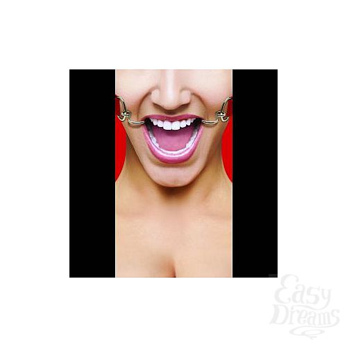  1:     Hook Gag
