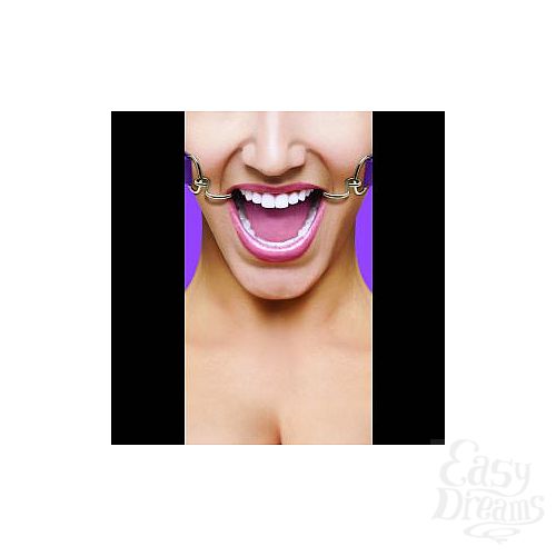  1:     Hook Gag