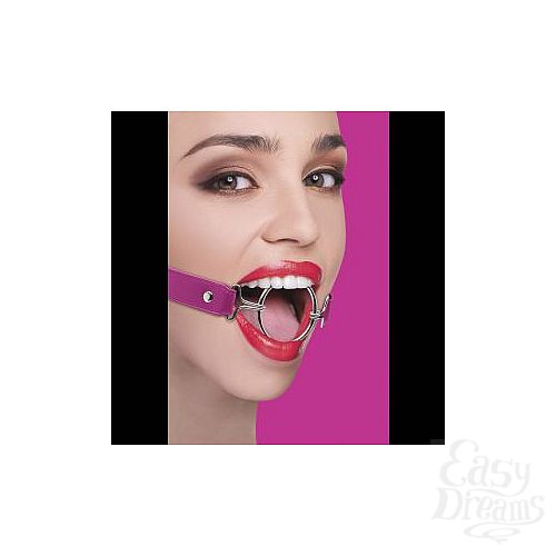  1:    Ring Gag XL   