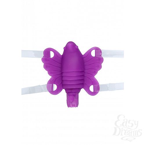  1:    Butterfly Baby Purple