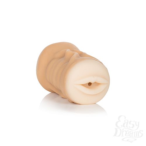 ���������� 2  ����������� ������������ ������ � ����� Vivid� Raw� Fuck & Suck ��������