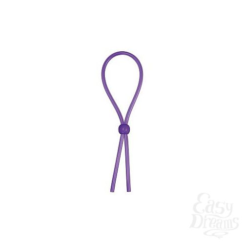  1:      Erection Booster 
