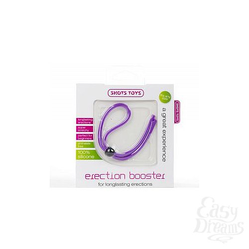  2      Erection Booster 