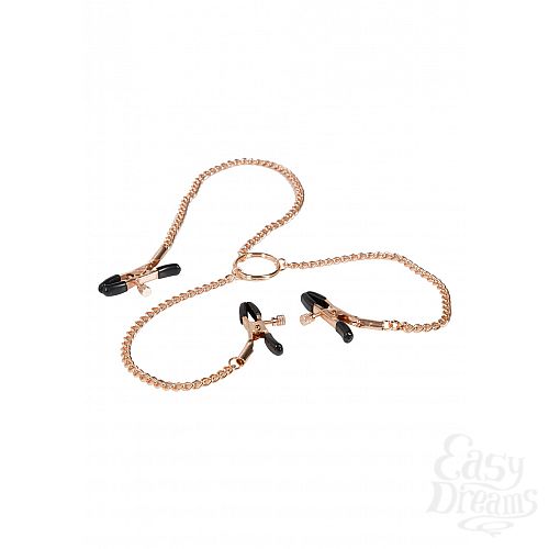 ���������� 1:  �������� ��������� �� ���� � �������� Entice Triple Intimate Clamps