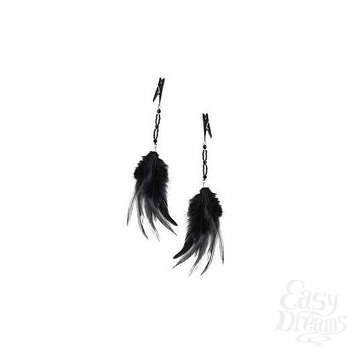 1:       FANCY FEATHER CLAMPS