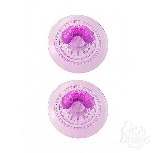  1:     Nipple Massagers AS SH-SHT009PURA