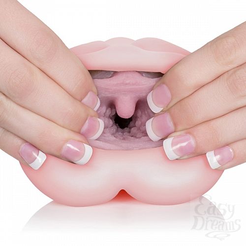  4   - VIVID RAW COCK TEASE