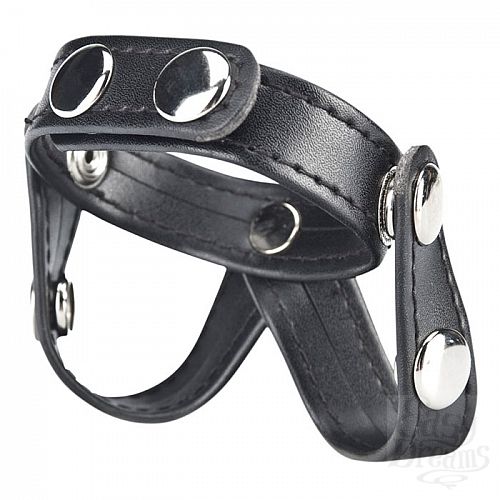  2             V-STYLE COCK RING