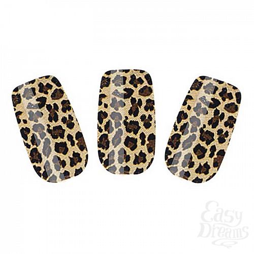  2        Nail Foil