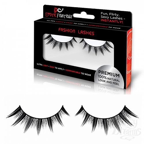  1:    Fashion Lashes