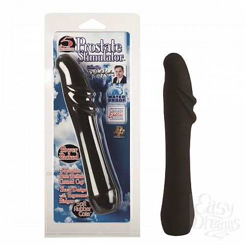  1:  ׸   Dr. Joel Kaplan 5 Function Prostate Stimulator - 17 .