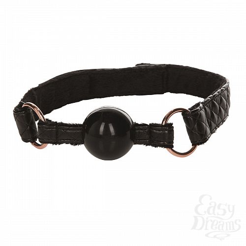  1:  ׸  Entice Ball Gag
