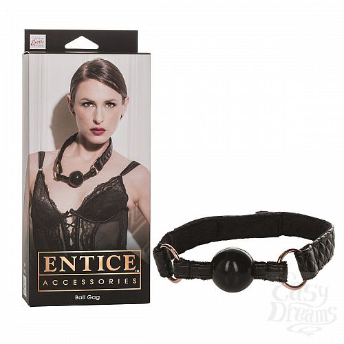  2  ׸  Entice Ball Gag