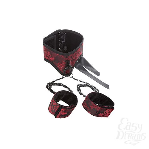 2     Scandal Posture Collar with Cuffs