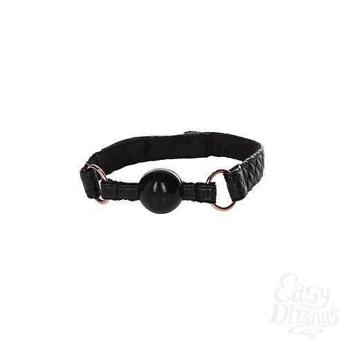  2    Entice Ball Gag