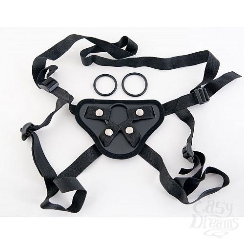  1:   Harness    