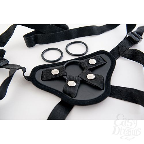  2   Harness    