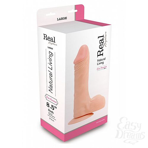 ���������� 2  �������������-��������� Dildo - 24.5 ��.