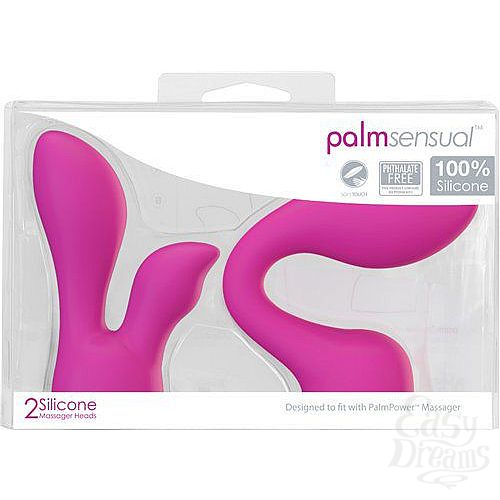  1:      PalmPower Massager  