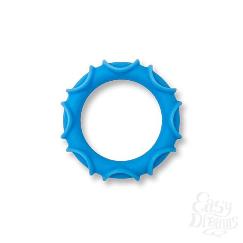  2     E-Ring II