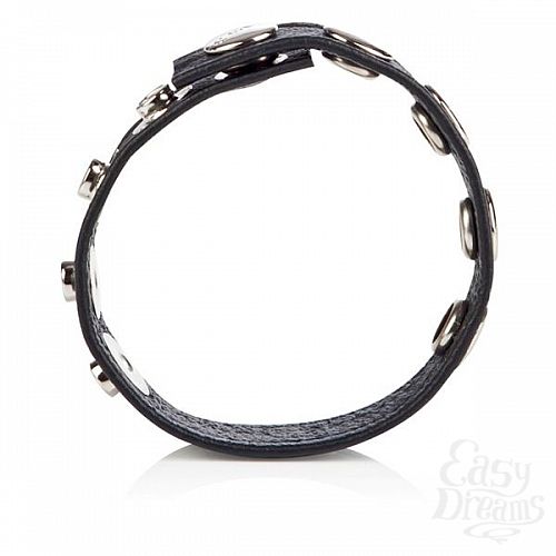  2      Adjustable 5 Snap Leather Strap