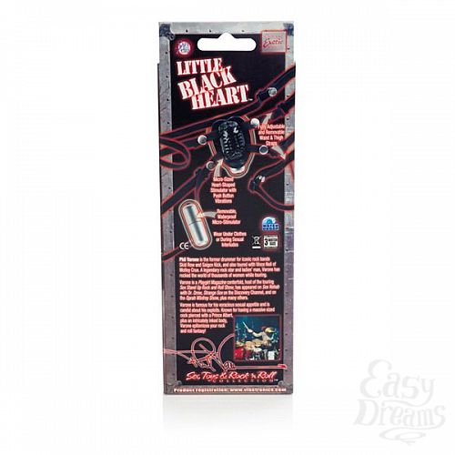  4     Little Black Heart