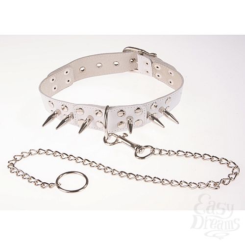 Фотография 1:  Белый кожаный ошейник с шипами Фотография 1:  Белый кожаный ошейник с шипами