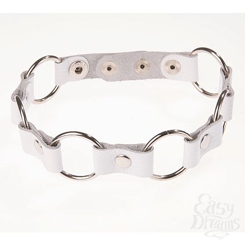 Фотография 1:  Белый кожаный ошейник  с кольцами  Фотография 1:  Белый кожаный ошейник  с кольцами