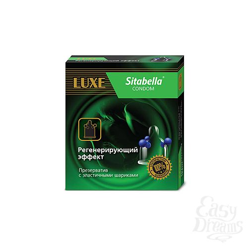  1:   Sitabella         - 1 .*12