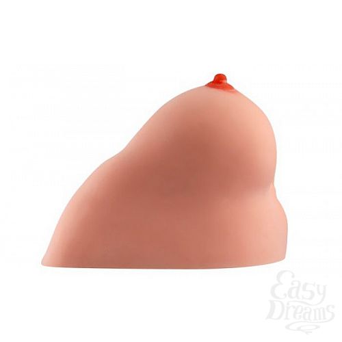  2          JULIANA BREAST