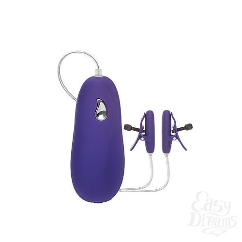  2     Heated Nipple Teasers      