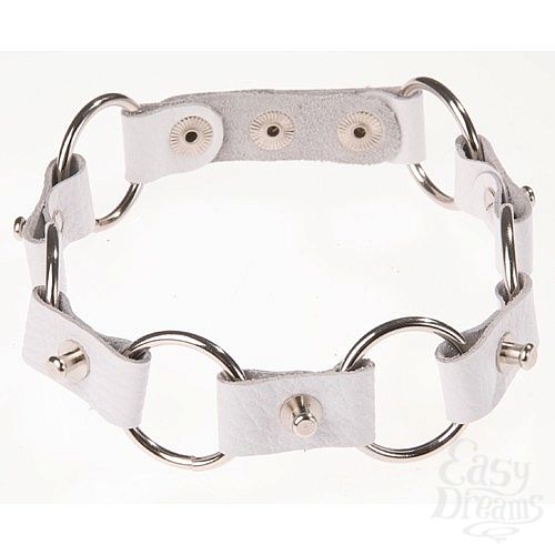 Фотография 1:  Ошейник 3111-3 Фотография 1:  Ошейник 3111-3