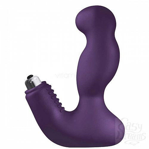  2    Nexus Max Purple